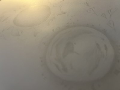 5月 - 画像9