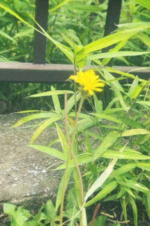 #279. ♬"ねえ あなたわかってるの？"のサムネイル