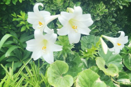 #287. 全力で走り抜けたら何がわかる？のサムネイル