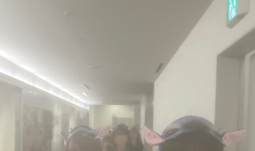 　 - 画像14