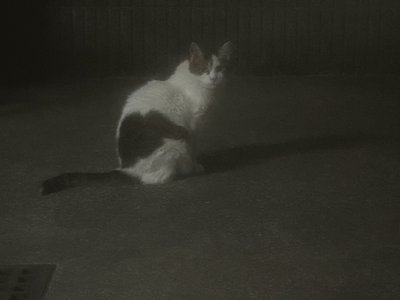 7月 - 画像20