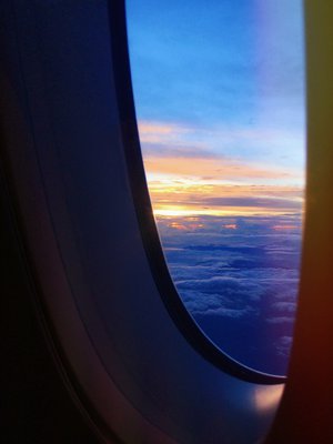   - 画像11