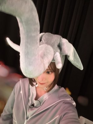 ゾウだぞう - 画像3