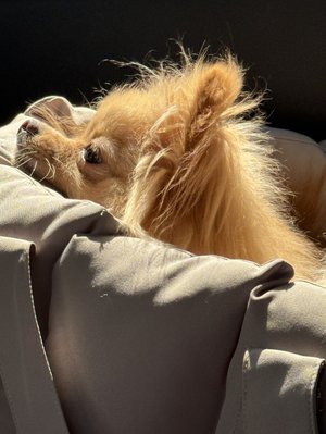ゾウだぞう - 画像9