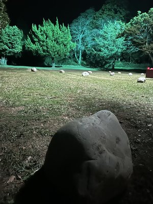 Unhappy birthday構文 - 画像7