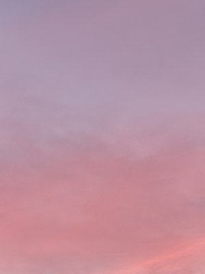 　 - 画像14