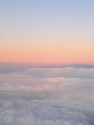 　 - 画像2