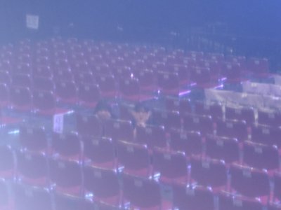 12月のサムネイル