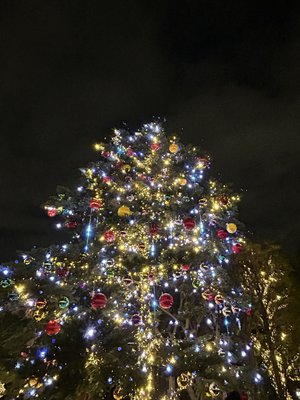 待ってた - 画像7