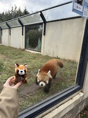 →2026のサムネイル