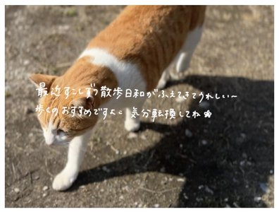後ろ髪を引かれた - 画像4