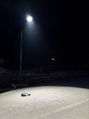 　 - 画像2