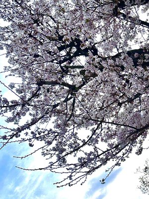 もうすぐだ！！！ - 画像16