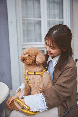 🐶 - 画像2
