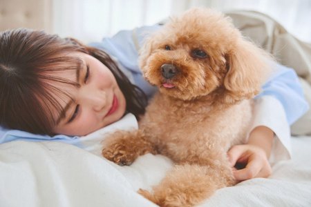 🐶 - 画像5
