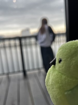 温もりのサムネイル