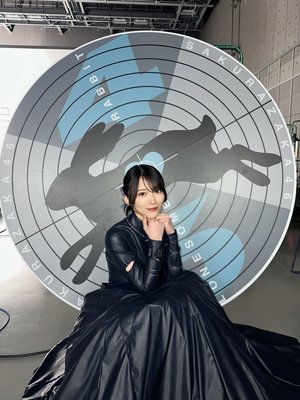 Lonesome rabbit - 画像4