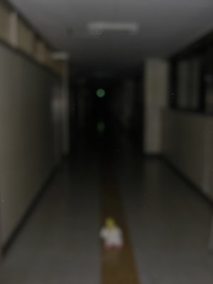 ウインク上達のお知らせ - 画像3