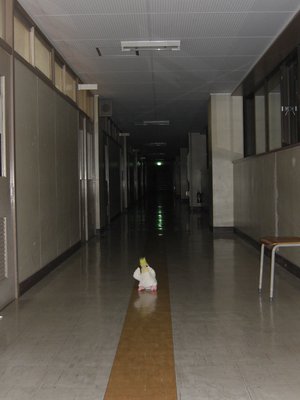 ウインク上達のお知らせ - 画像4