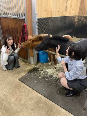 サクラミーツフェスとSP🌸のサムネイル