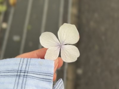 雨のち星のサムネイル