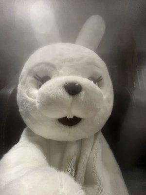 こんばんは - 画像12