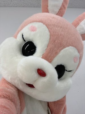#見つけて櫻坂うさぎのサムネイル