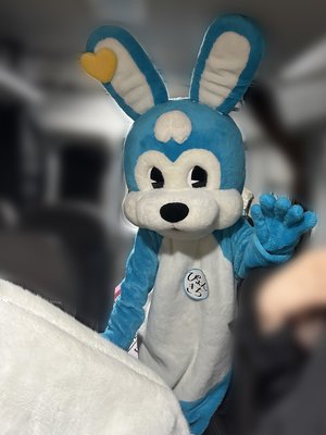 #見つけて櫻坂うさぎ - 画像2