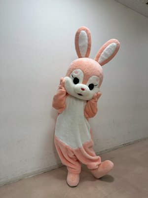 #見つけて櫻坂うさぎ - 画像3