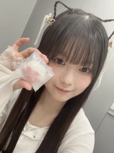 猫の日のサムネイル