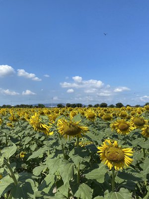  3分だけ時間をください！ - 画像8
