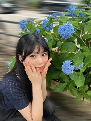 蘇れ紫陽花のサムネイル