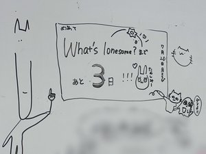 25 - 画像13