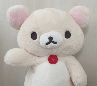 こっちゃんのサムネイル