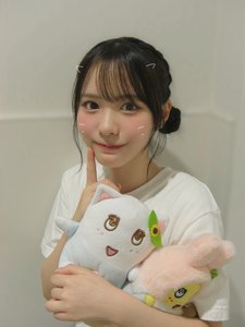 ふなっしーは247人兄弟なんだってのサムネイル