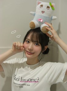 ふなっしーは247人兄弟なんだって - 画像2