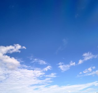 #414. 青葉坂46🌱のサムネイル