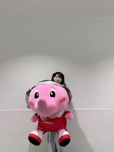 ２６本、196 - 画像11