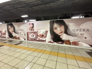 OPERA - 画像11