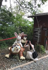 蝉の声を思い出す - 画像5