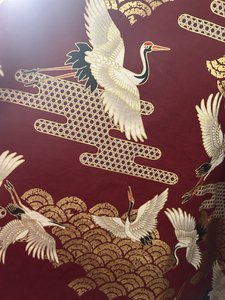 自称バレエダンサー - 画像5