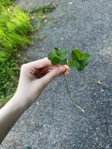 すごいことじゃないんですか？ - 画像2