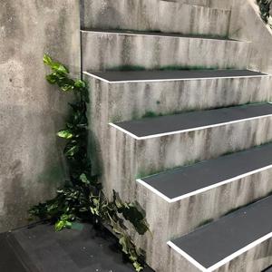 これまで、欅坂を一緒に駆け上 - 画像2