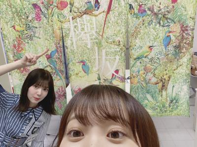 秋はどこ? - 画像4