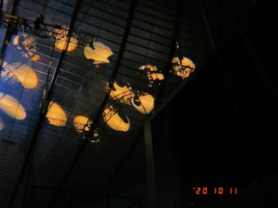 写真📸 - 画像2