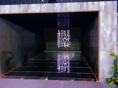 写真📸 - 画像5