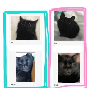 戦う⚔️ - 画像4