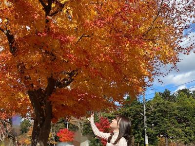 かえでとさくら - 画像3