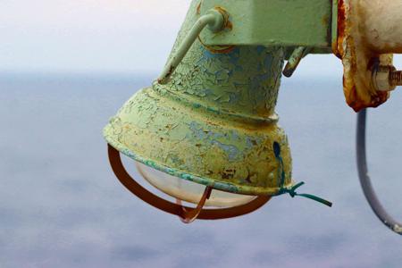 てんカメ「Nobody's fault」 - 画像6