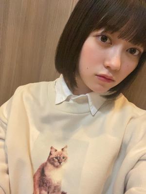 ネコさん飼いたい🐈 - 画像2